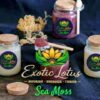Exotic Lotus Serum